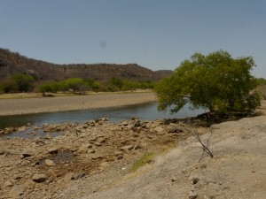 Lunch spot on Yaqui river